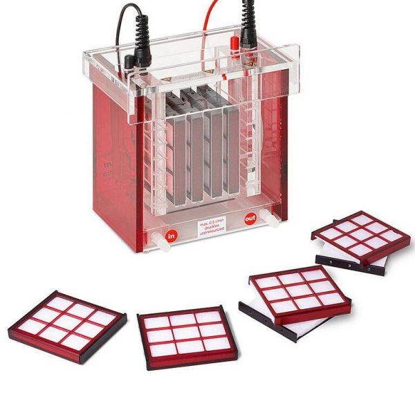 Thiết bị chuyển màng (blotting) ướt