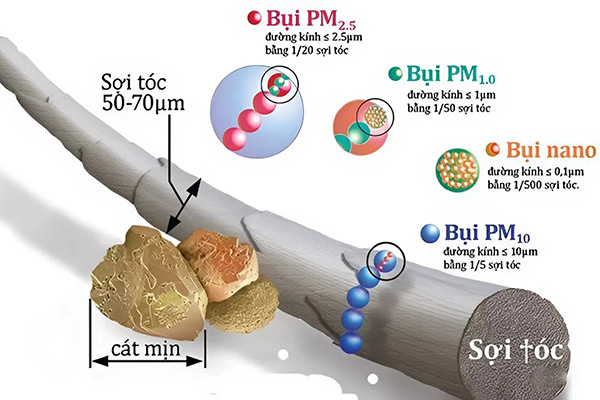 3 kích thước phổ biến của bụi mịn