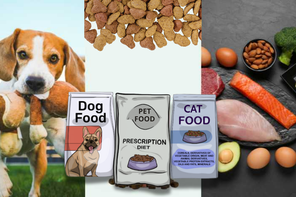 Thức ăn chăn nuôi