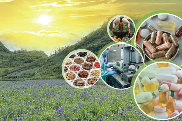 Ứng dụng của hệ thống LA8080 High Speed Amino Acid Analyzer