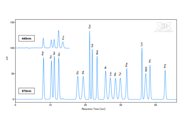 Phân tích dung dịch chuẩn axit amin